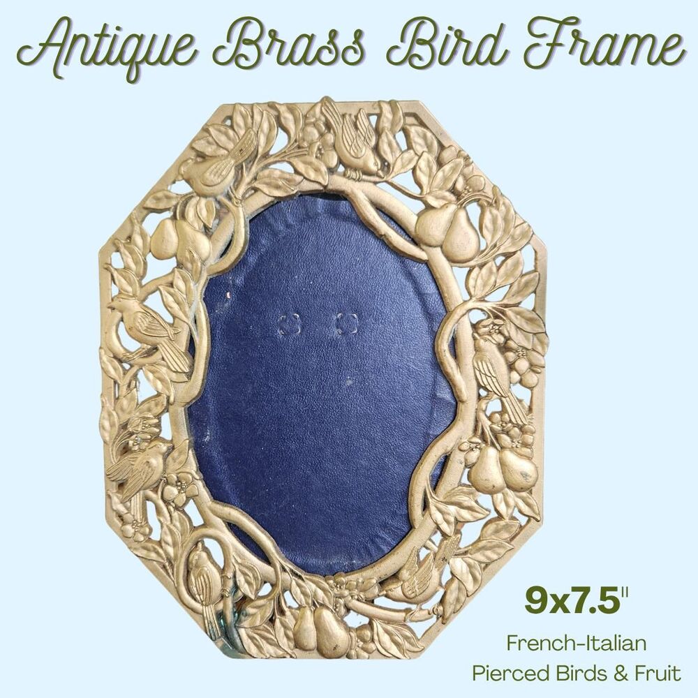 Antique Frame Brushed Gold Pierced fruit & Birds, French Gilt Ormolu, 9x7inch
